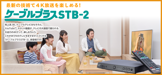 ケーブルプラスSTB-2