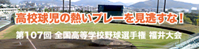 第107回 全国高等学校野球選手権 福井大会