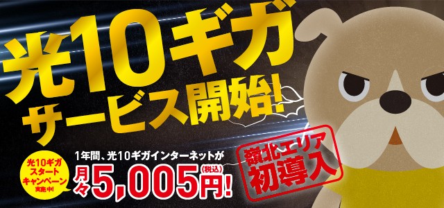 光10ギガサービス開始！