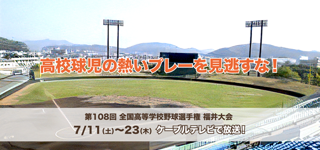 第108回全国高等学校野球選手権福井大会