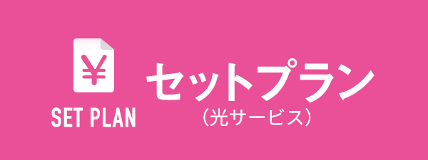 お得なセットプラン（光サービス）